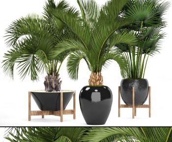 Modern Potted Green Plant-ID:989933994