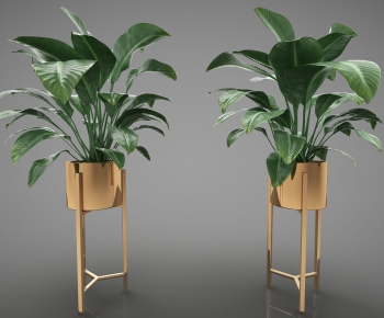 Modern Potted Green Plant-ID:229219871