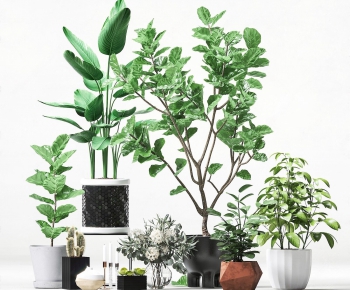 Modern Potted Green Plant-ID:491339817