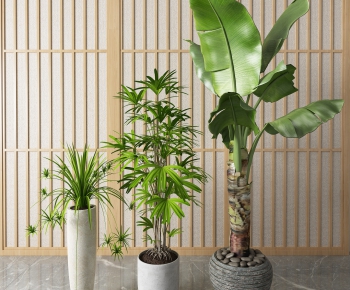 Modern Potted Green Plant-ID:151675875