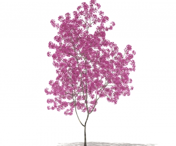 Modern Tree-ID:836272398