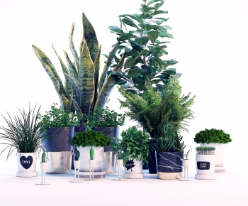 Modern Potted Green Plant-ID:211878479