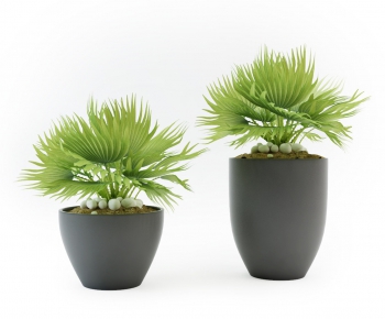 Modern Potted Green Plant-ID:428229331