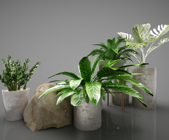 Modern Potted Green Plant-ID:235544749