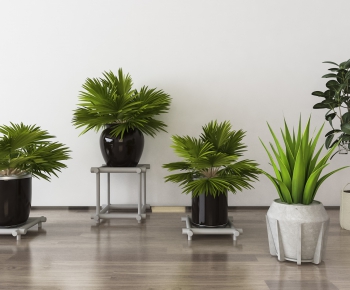 Modern Potted Green Plant-ID:972283417