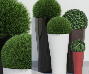 Modern Potted Green Plant-ID:746941955