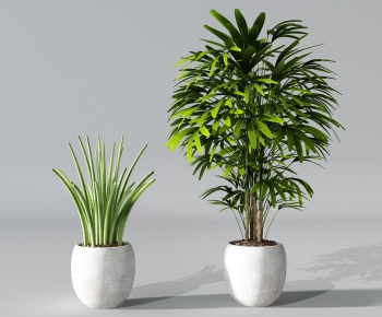 Modern Potted Green Plant-ID:672275577