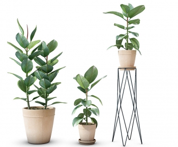 Modern Potted Green Plant-ID:477158689