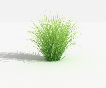 Modern The Grass-ID:743362858