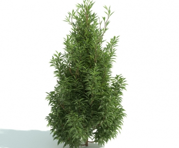 Modern Shrubbery-ID:514280477