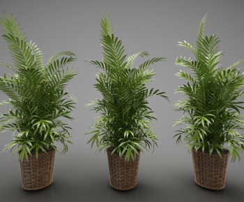 Modern Potted Green Plant-ID:303067637