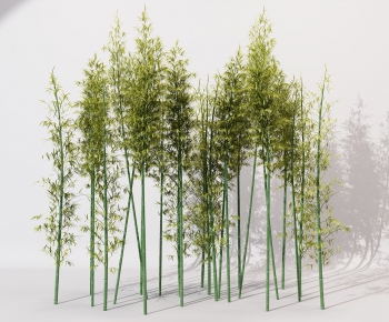 Modern Bamboo-ID:936176485