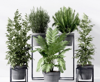 Modern Potted Green Plant-ID:870251671