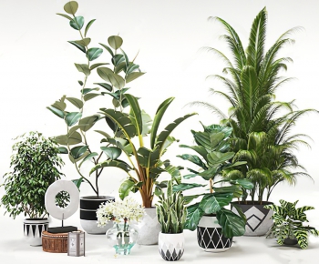 Modern Potted Green Plant-ID:379812732