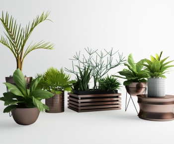 Modern Potted Green Plant-ID:430605921