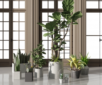 Modern Potted Green Plant-ID:389893764