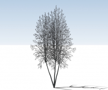 现代冬季树-ID:769419466