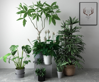 Modern Potted Green Plant-ID:641230112