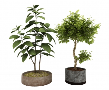 Modern Potted Green Plant-ID:894821445