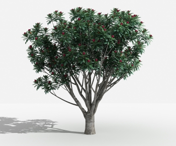 Modern Tree-ID:877117987