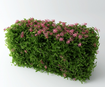 Modern Shrubbery-ID:699582657