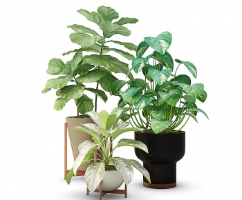 Modern Potted Green Plant-ID:257211992