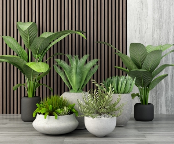 Modern Potted Green Plant-ID:434389919