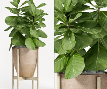 Modern Potted Green Plant-ID:590444393