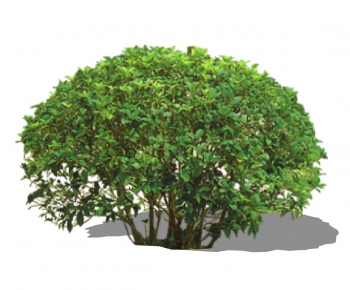 现代灌木绿植-ID:854551113