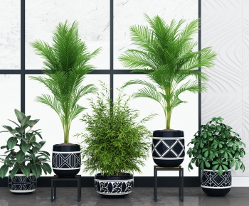 Modern Potted Green Plant-ID:502923388