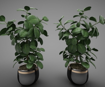 Modern Potted Green Plant-ID:872993375