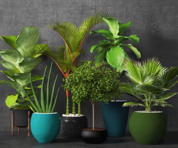 Modern Potted Green Plant-ID:521568663