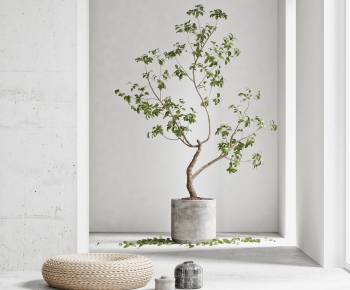 Modern Potted Green Plant-ID:661310863