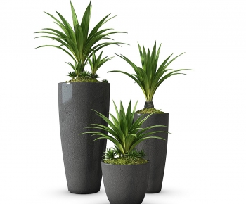 Modern Potted Green Plant-ID:533220574