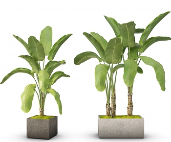 Modern Potted Green Plant-ID:908613181