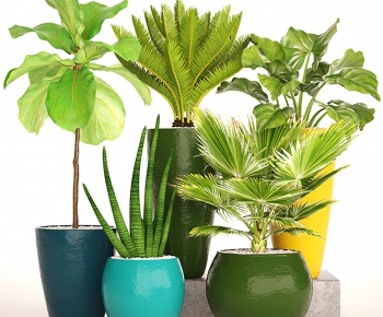 Modern Potted Green Plant-ID:682307634