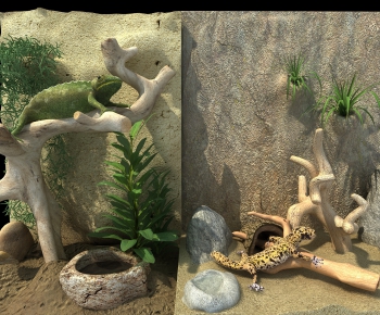 现代蜥蜴木头石头动物-ID:195862154