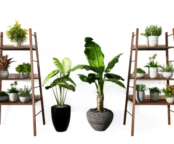 Modern Potted Green Plant-ID:234125478