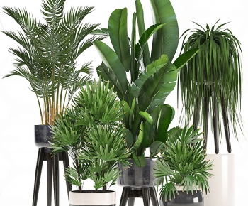 Modern Potted Green Plant-ID:878365179