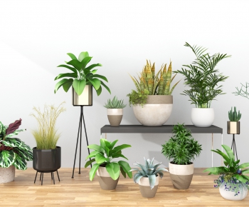 Modern Potted Green Plant-ID:677194124