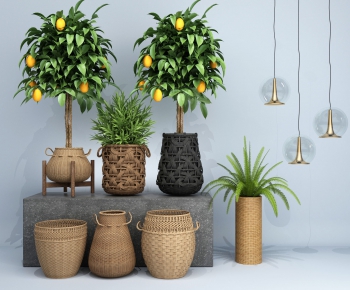 Modern Potted Green Plant-ID:915862574