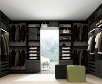 Modern Clothes Storage Area-ID:532249712