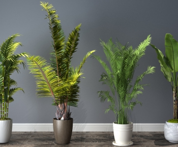 Modern Potted Green Plant-ID:899790231