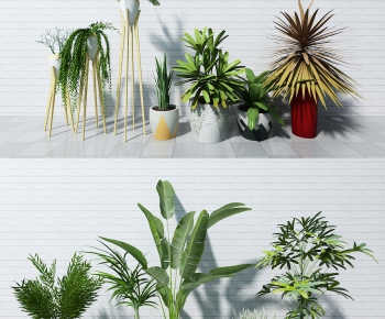 Modern Potted Green Plant-ID:245549257