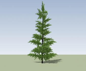 Modern Tree-ID:890751839