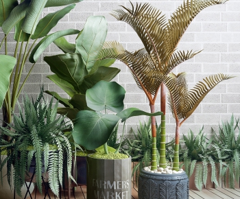 Modern Potted Green Plant-ID:833264986