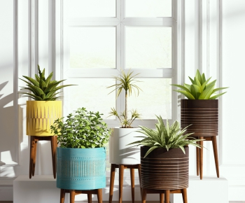 Modern Potted Green Plant-ID:347261271