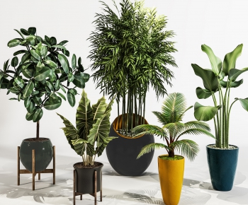 Modern Potted Green Plant-ID:633266695