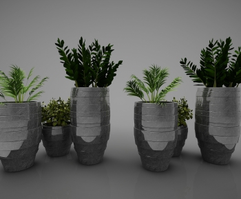 Modern Potted Green Plant-ID:260536522
