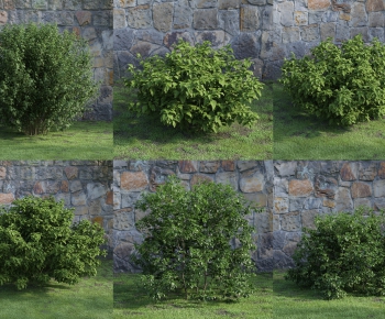 Modern Shrubbery-ID:765296447